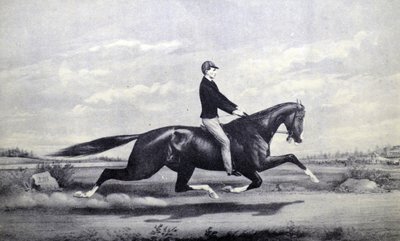 Il cavallo celebrato Dexter, il re del Turf da N. and Ives, J.M. Currier